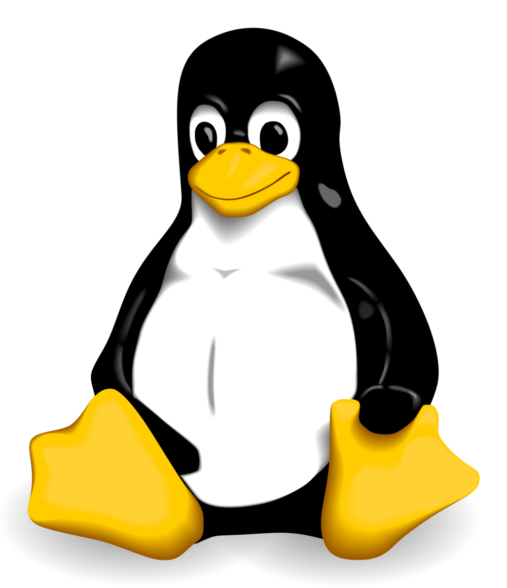 Python Linux